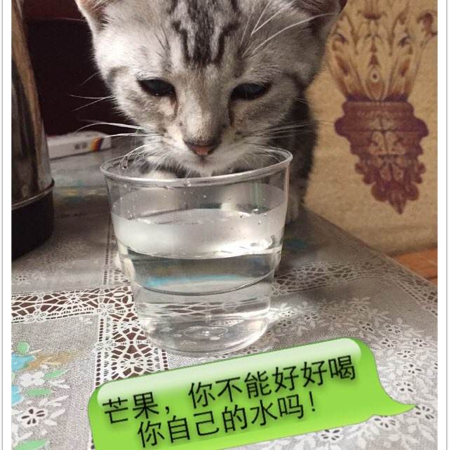 亨廷顿大学文凭毕业证样本资料